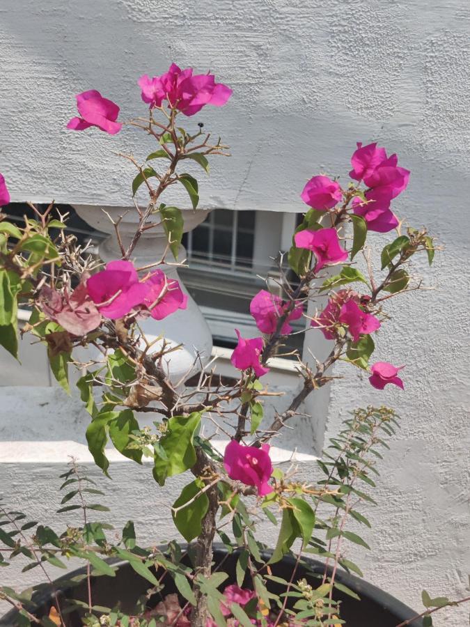 Yoga House Appartement Vanivilasa Puram Buitenkant foto