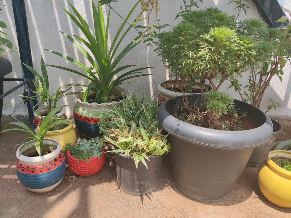 Yoga House Appartement Vanivilasa Puram Buitenkant foto